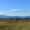 Terrain 1 090 m² BORDES VENDU – Image 4