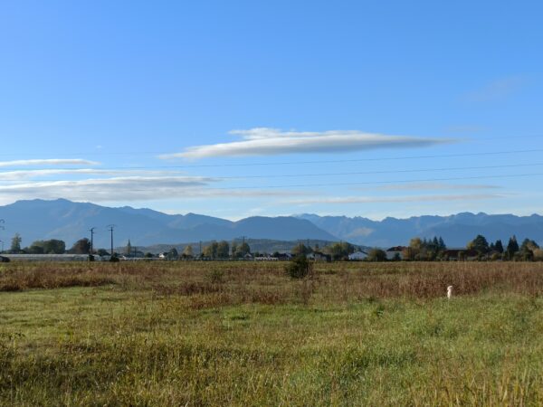 Terrain 1 090 m² BORDES VENDU – Image 4