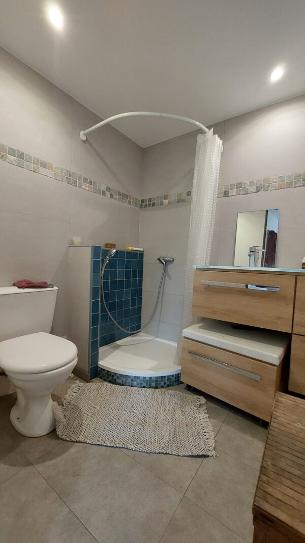 MAISON FAMILIALE + 3 STUDIOS 200m² PAU VENDU – Image 3