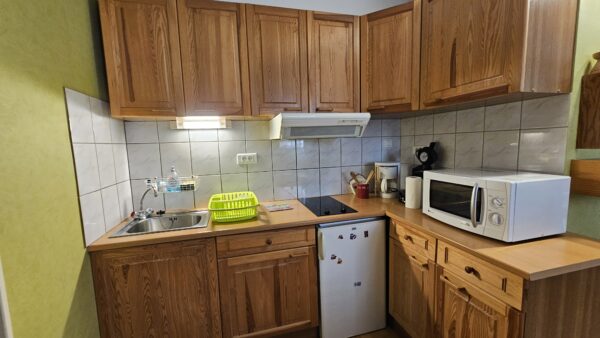 APPARTEMENT T2 BIS / LARUNS / ARTOUSTE / FABREGES/ NOUVEAUTE – Image 3